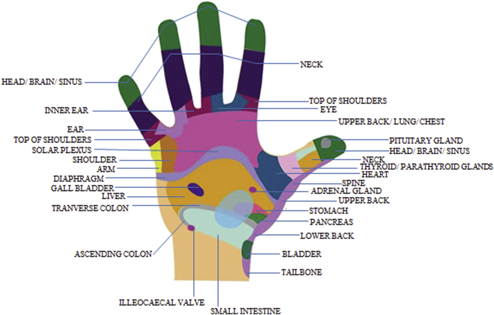 Fig. 4