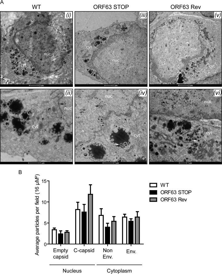 FIG 9