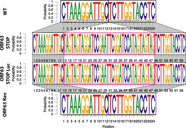 FIG 3