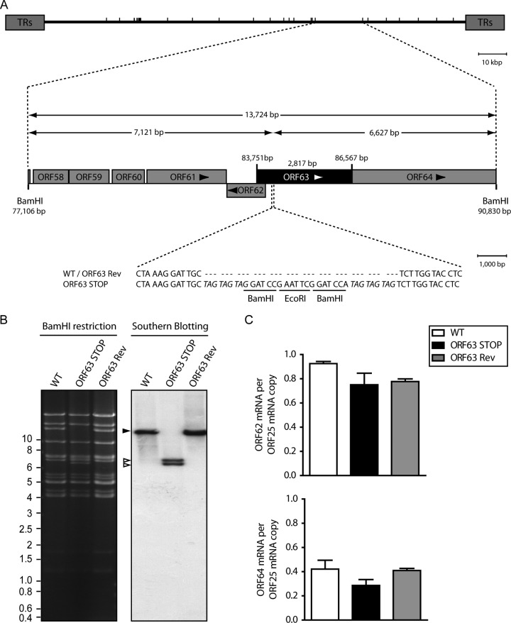 FIG 2