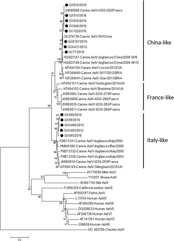 Fig. 3