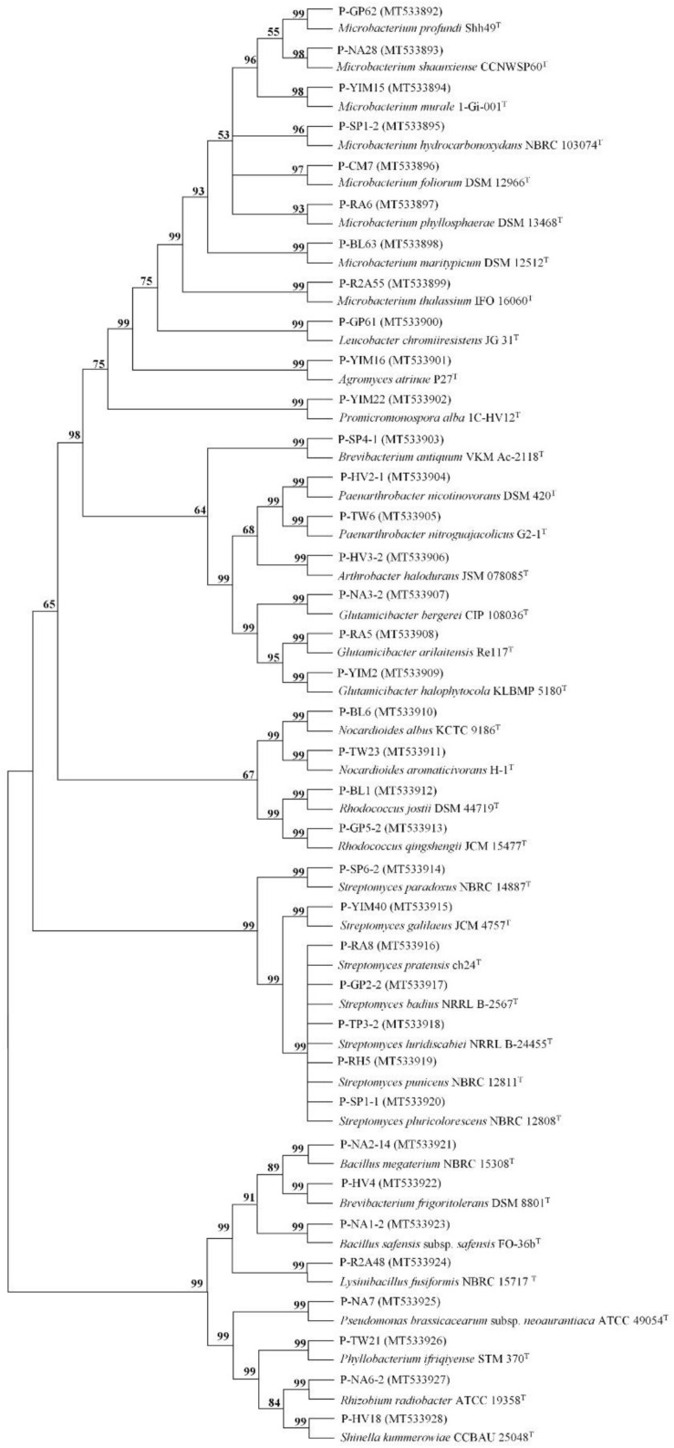 FIGURE 2