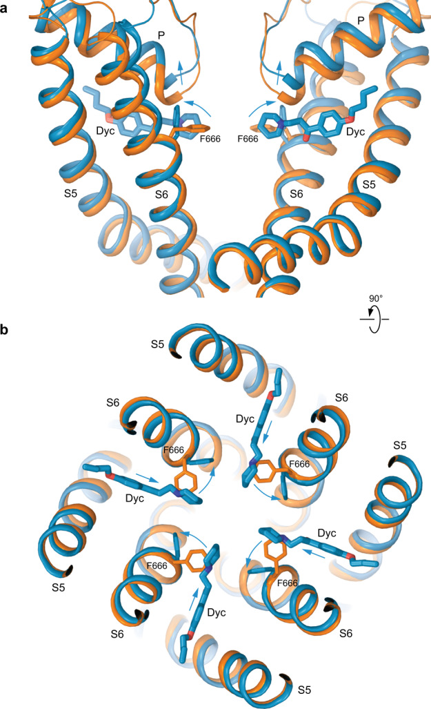 Fig. 5