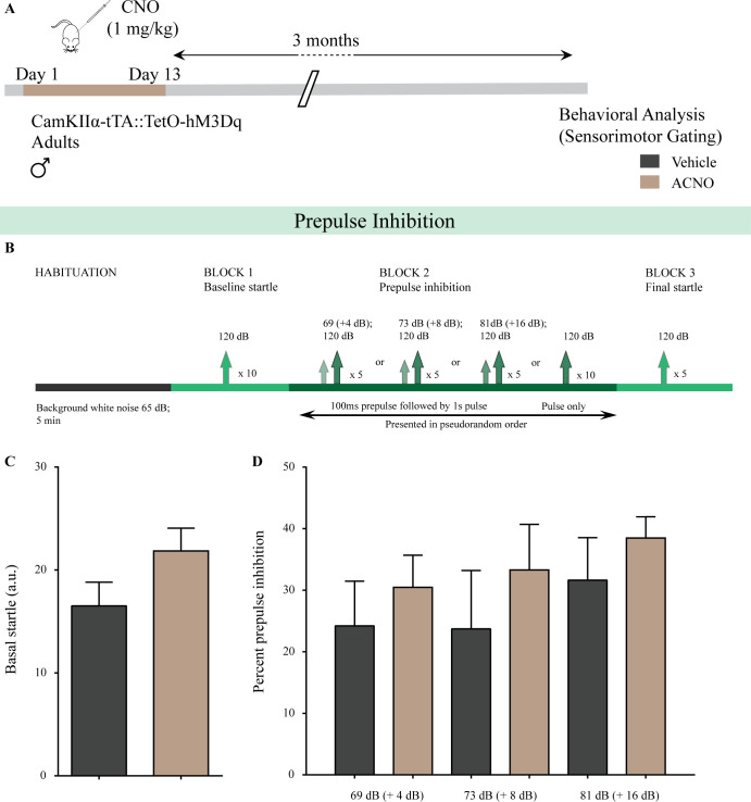 Figure 4—figure supplement 2.