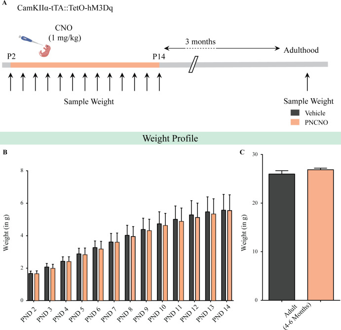 Figure 2—figure supplement 1.