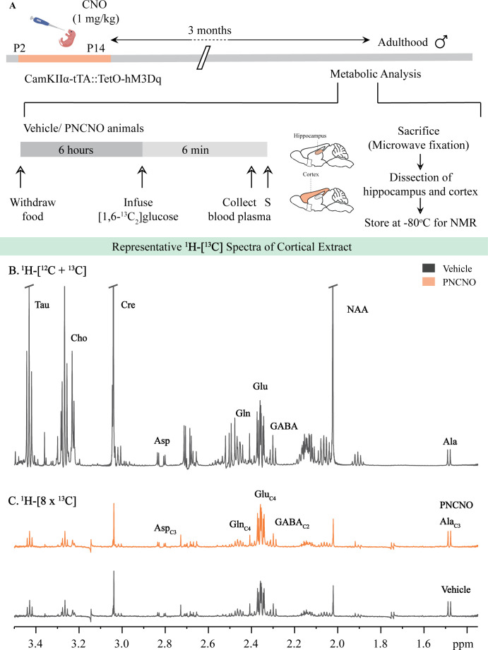 Figure 5—figure supplement 2.