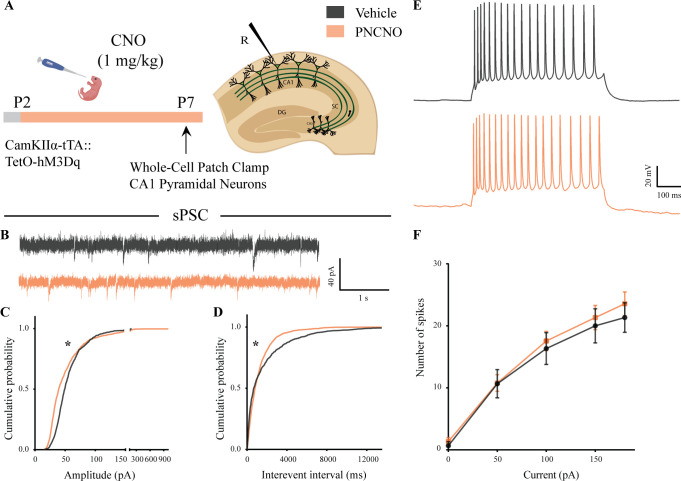 Figure 1—figure supplement 3.