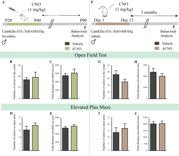 Figure 3—figure supplement 1.