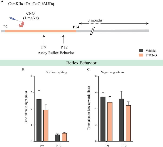 Figure 2—figure supplement 2.