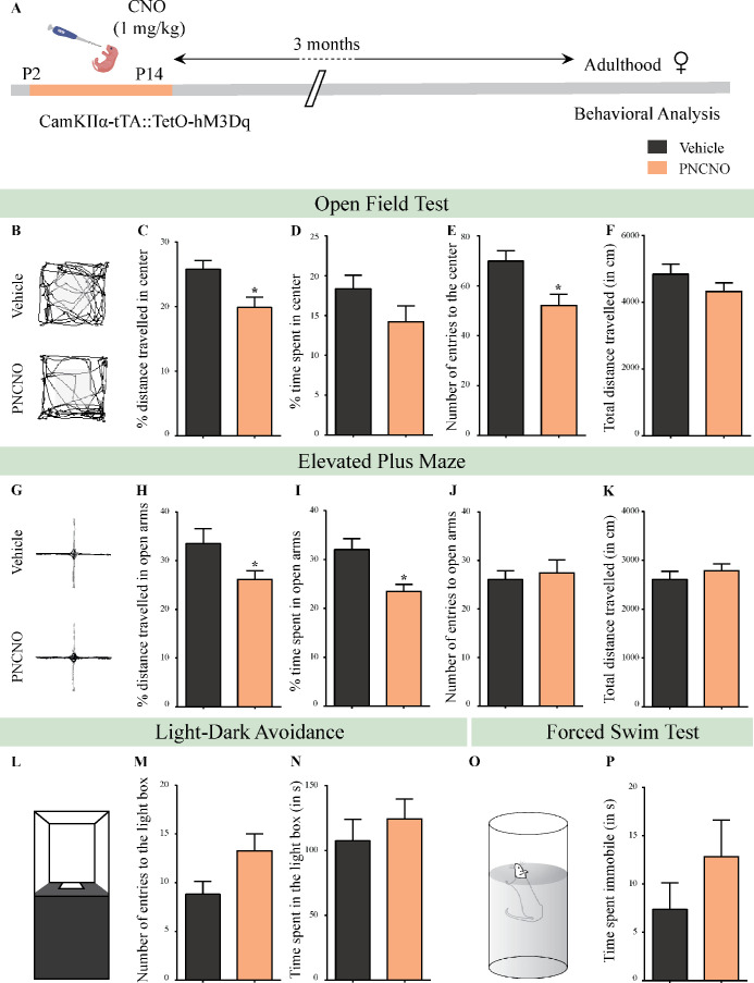 Figure 2—figure supplement 3.