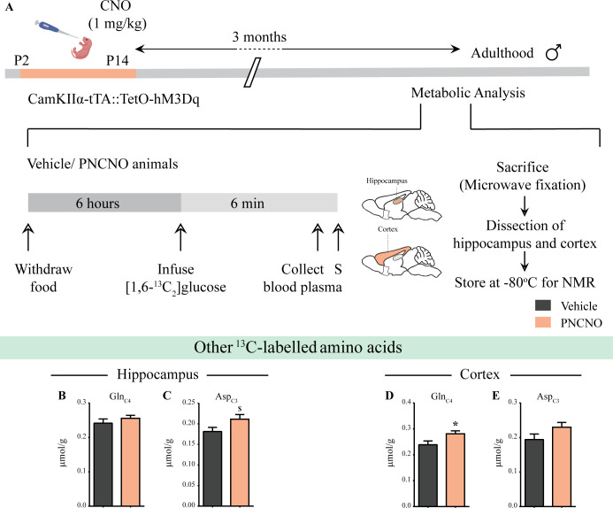 Figure 5—figure supplement 3.