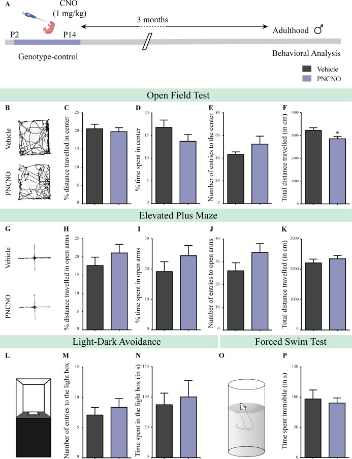 Figure 2—figure supplement 5.