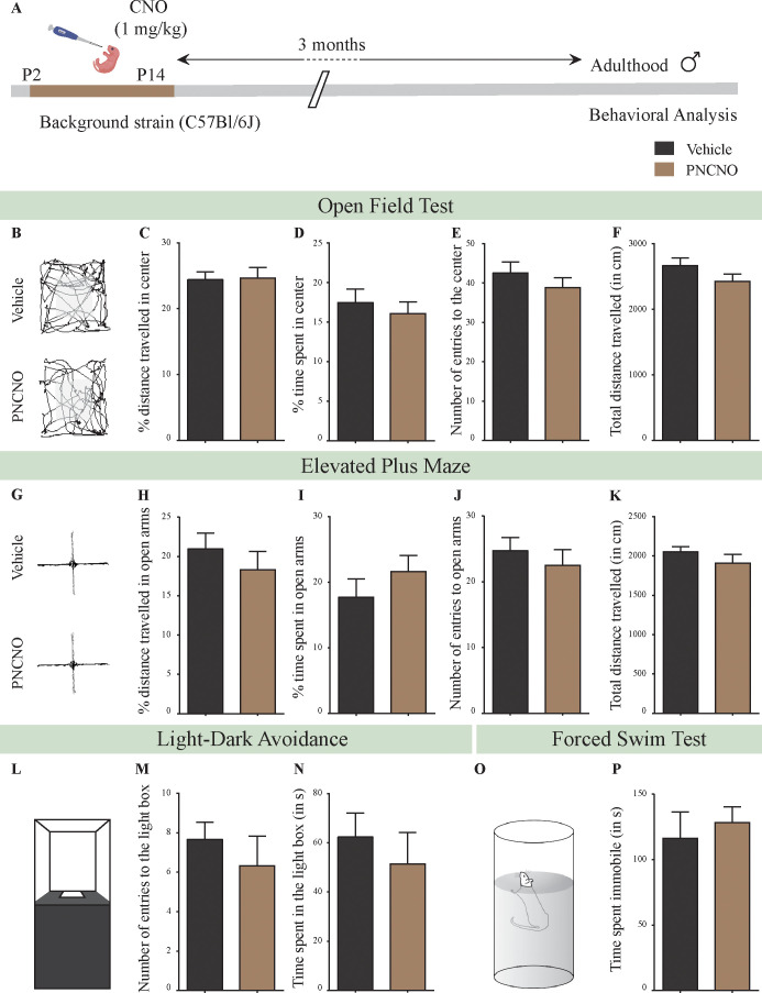 Figure 2—figure supplement 6.