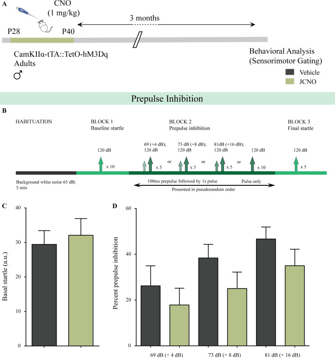 Figure 4—figure supplement 1.