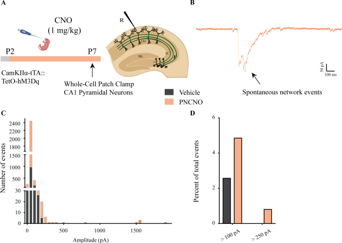 Figure 1—figure supplement 4.