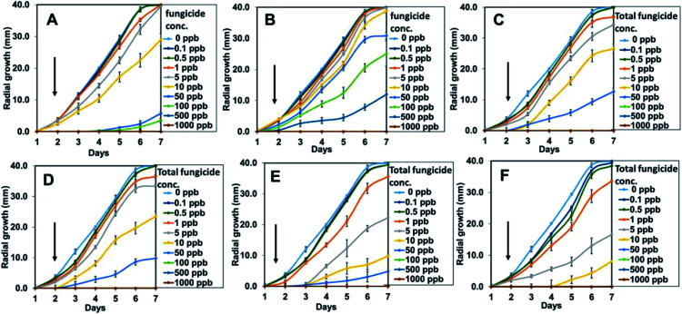 Fig. 12