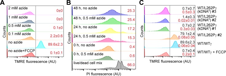 Fig 6