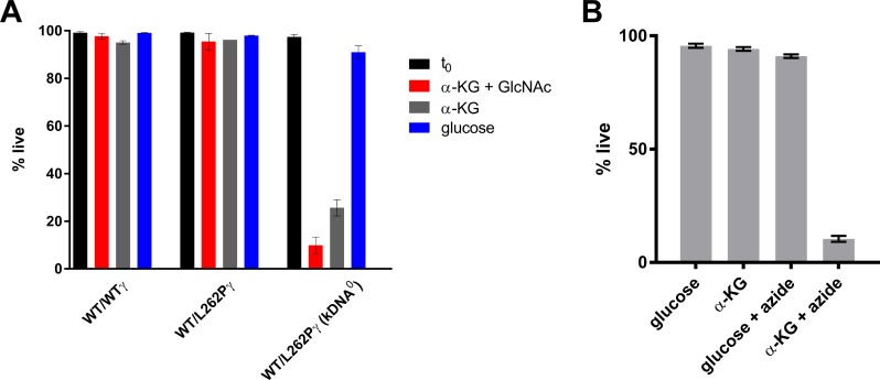 Fig 7