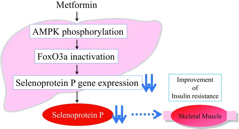 Fig. 3