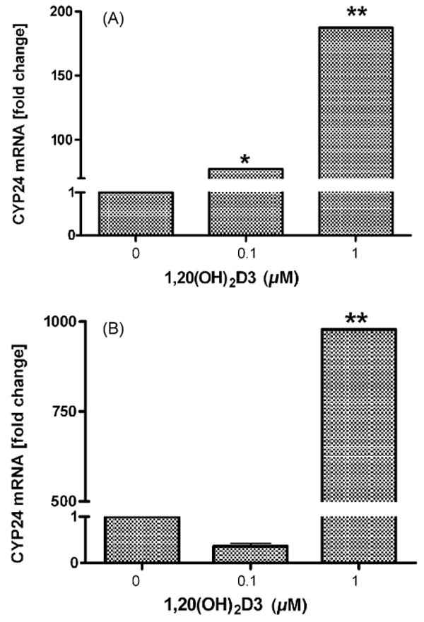 Fig. 9