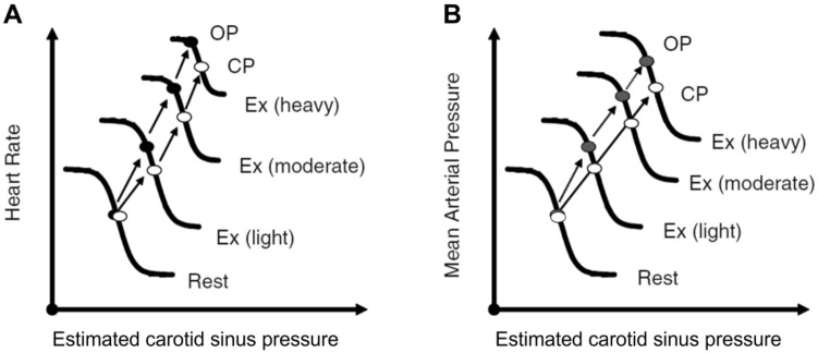 Fig. 13