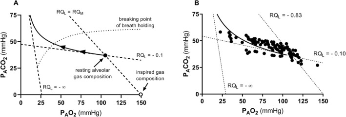 Fig. 16