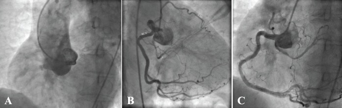 Figure 1)