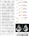 Extended Data Figure 1