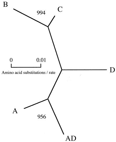 FIG. 4