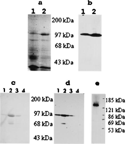 FIG. 5.