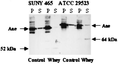 FIG. 8.