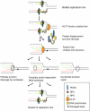 Fig. 4.