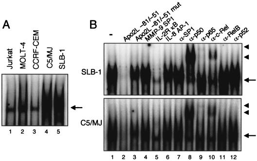 FIG. 5.