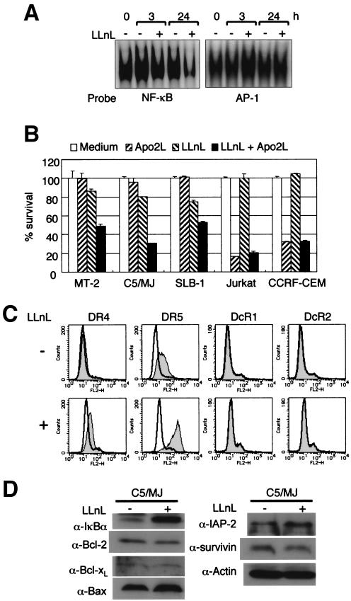 FIG. 7.