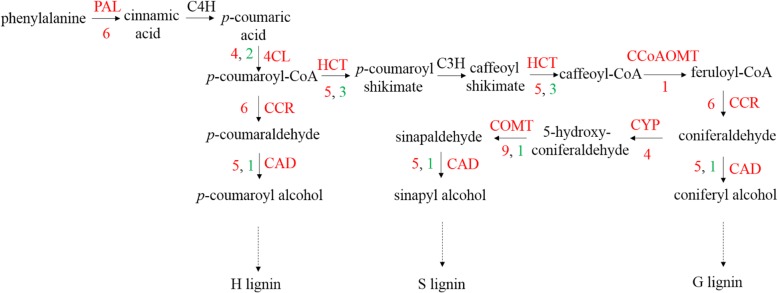 Fig. 6