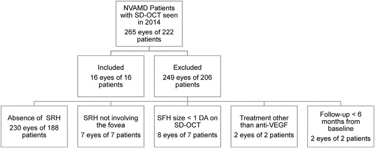 FIGURE 1.