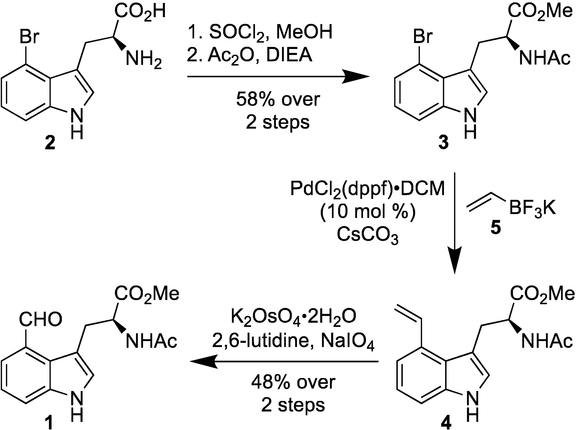 Scheme 1