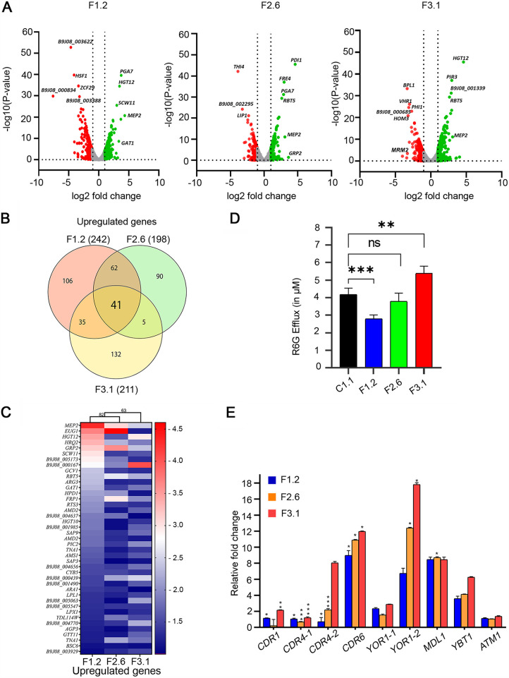 FIG 2