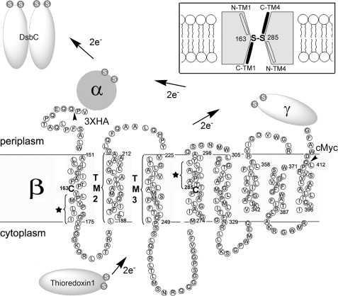 FIGURE 1.