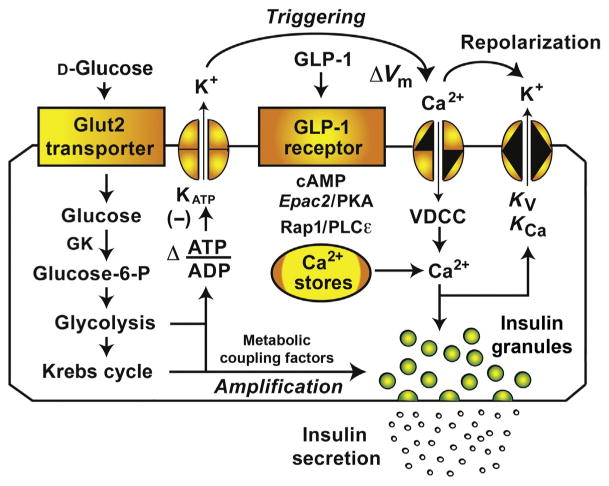 Figure 2.1