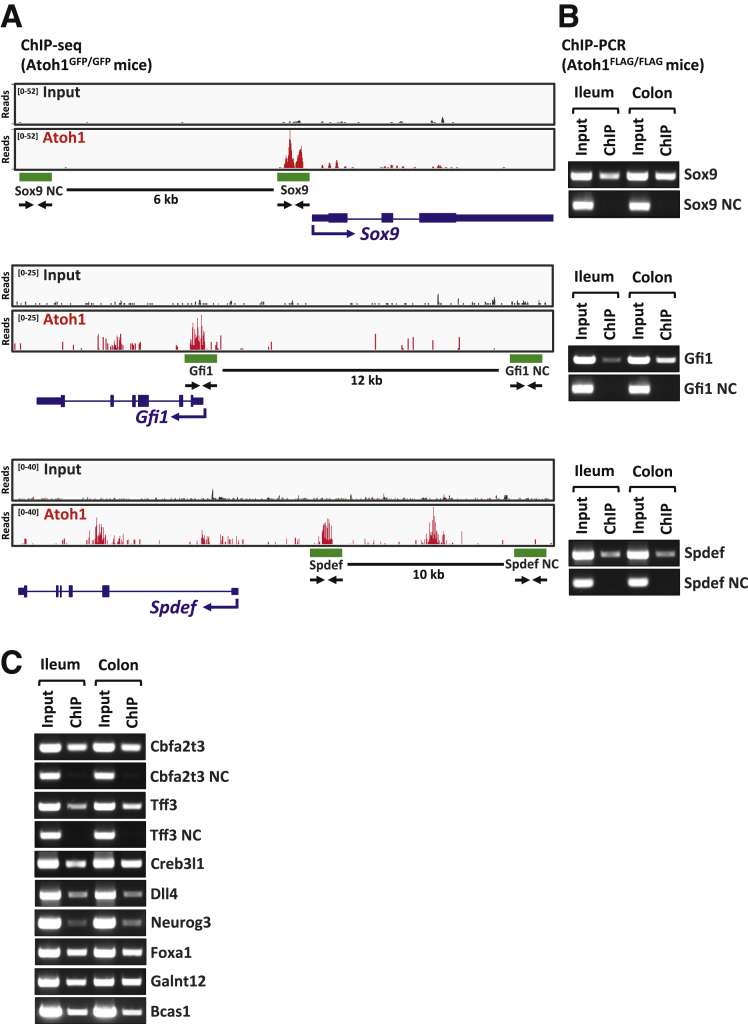 Figure 4