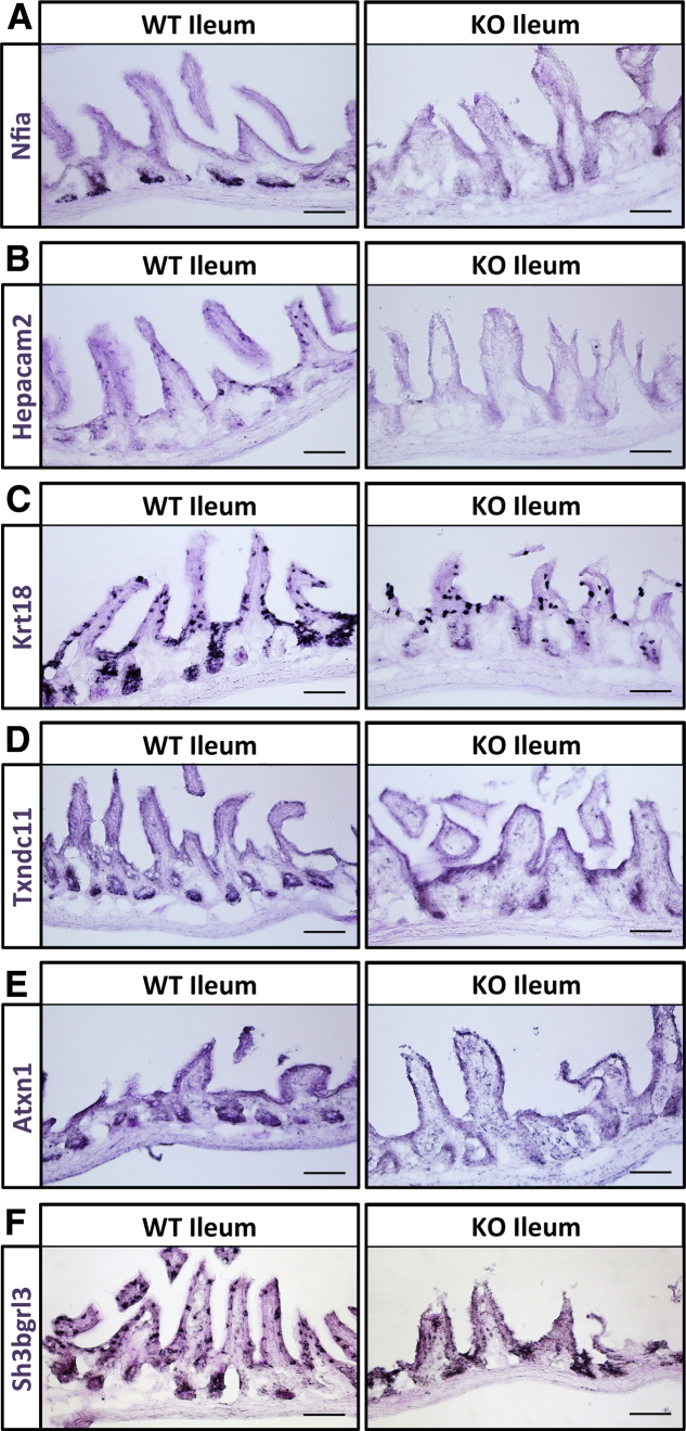 Figure 6