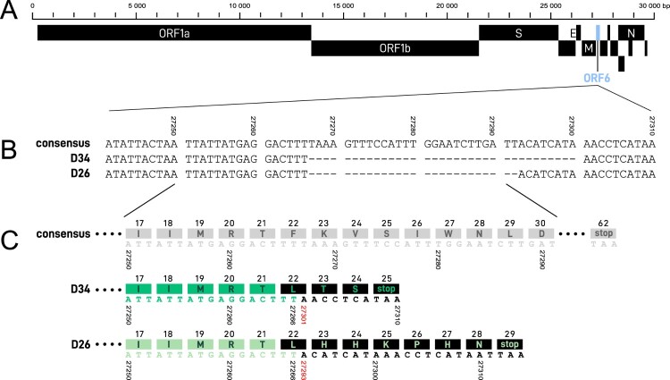 Figure 2.