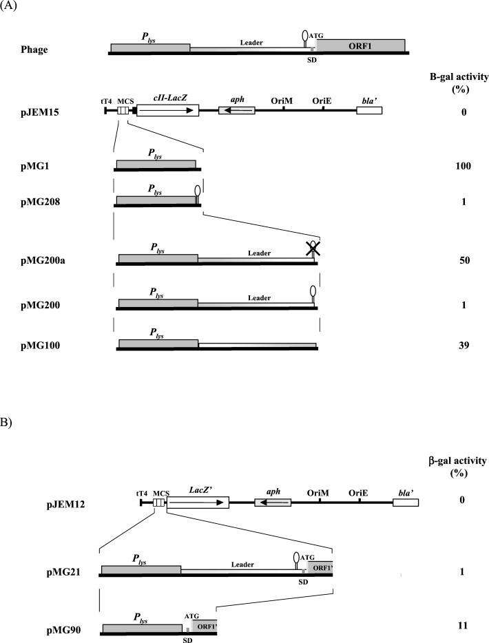 FIG. 6.