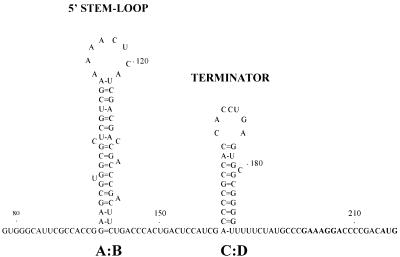 FIG. 5.