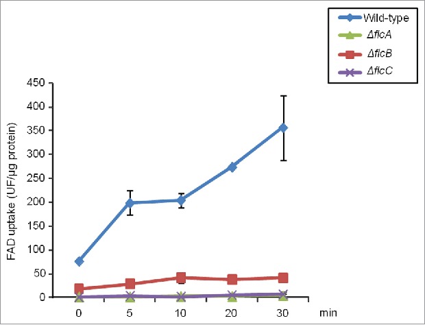 Figure 7.