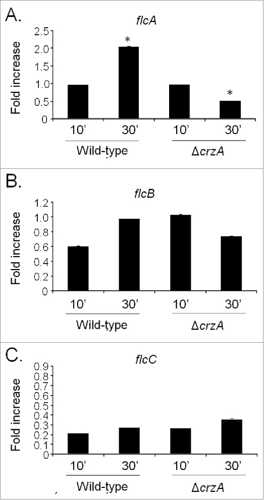 Figure 2.