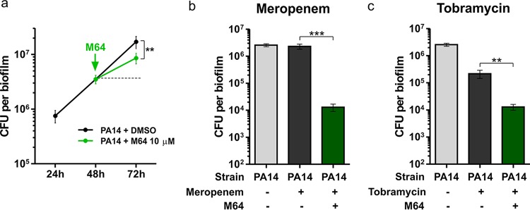 FIG 3