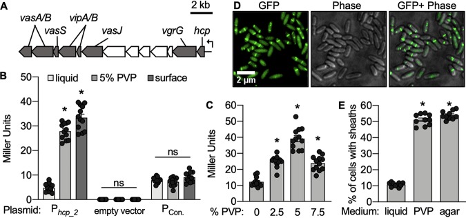 FIG 2