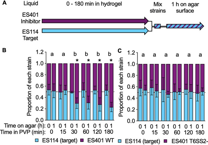 FIG 3